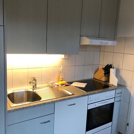 Cozy, Sunny, City Center 1 Bedroom Flat Zurich Extérieur photo