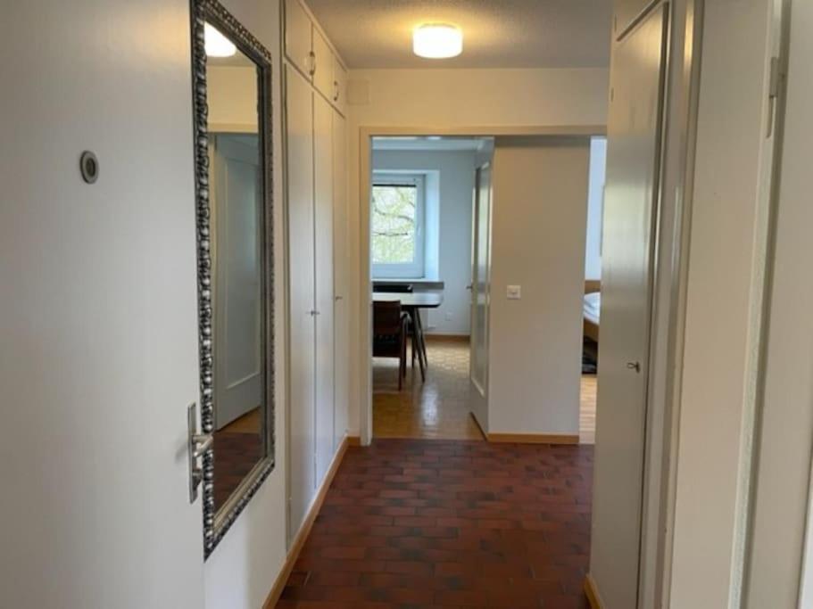 Cozy, Sunny, City Center 1 Bedroom Flat Zurich Extérieur photo