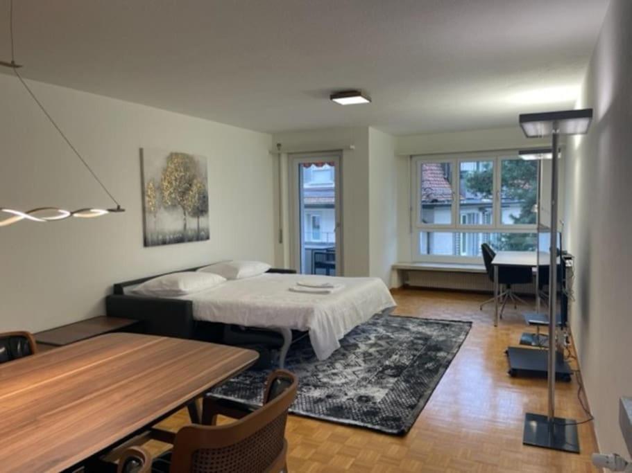 Cozy, Sunny, City Center 1 Bedroom Flat Zurich Extérieur photo