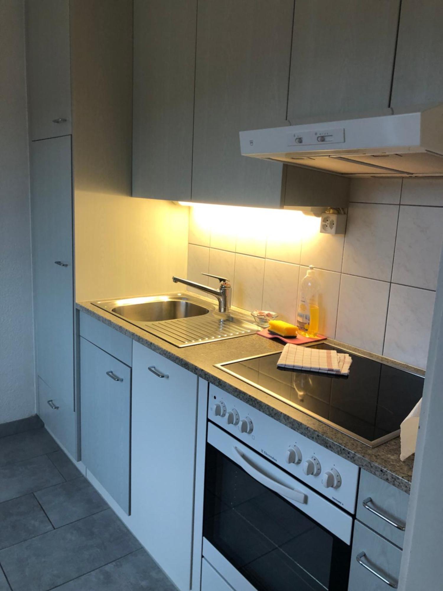 Cozy, Sunny, City Center 1 Bedroom Flat Zurich Extérieur photo